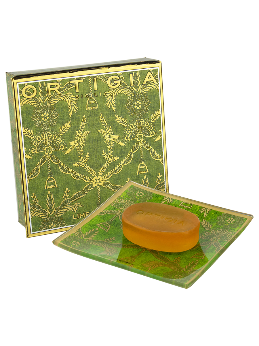 Glass Plate & Soap