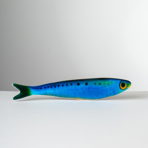 Imanes de pescado de Matteo