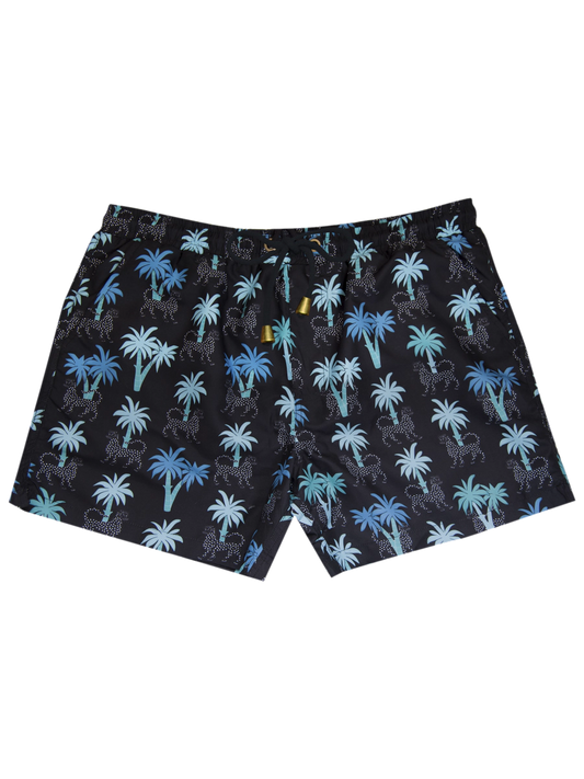 Swim Shorts