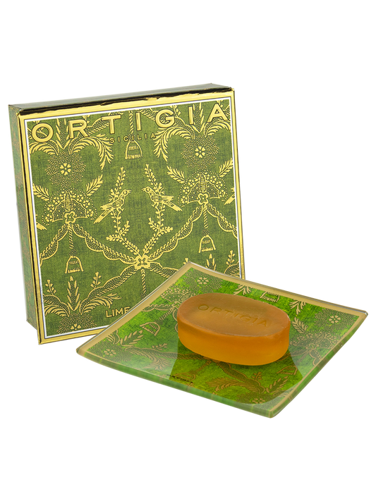 Glass Plate & Soap