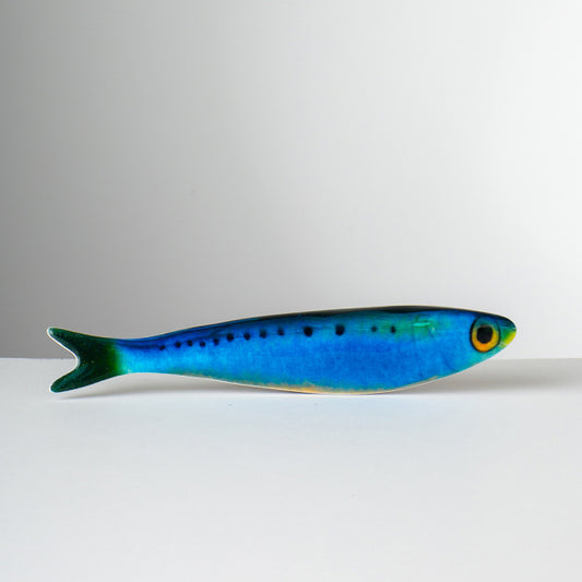 Imanes de pescado de Matteo